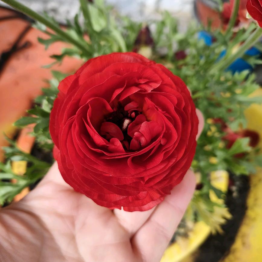 @霞♥有你真好