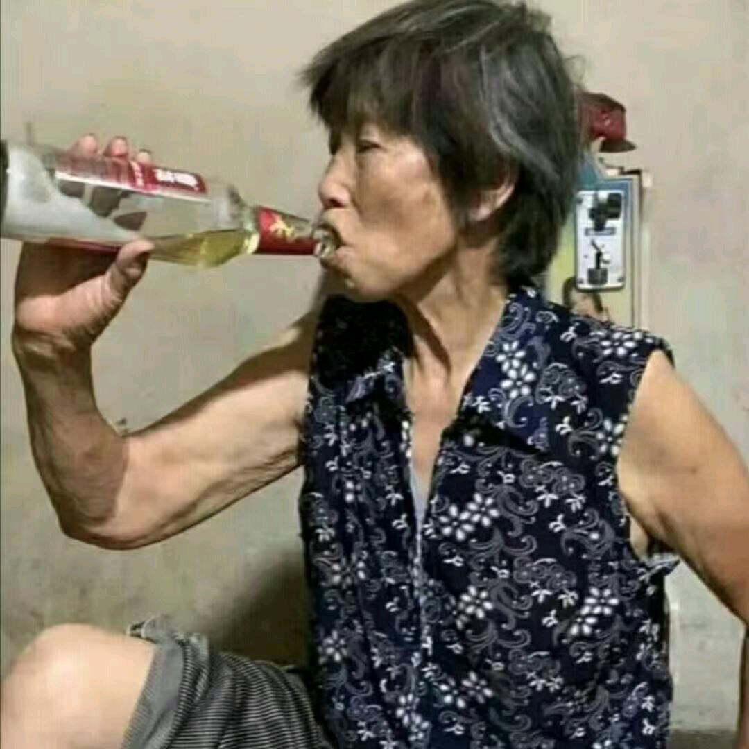 喵了个咪