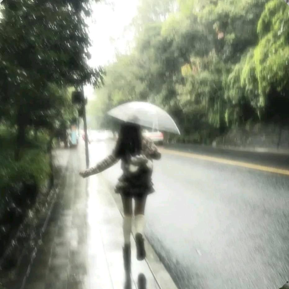 青苔