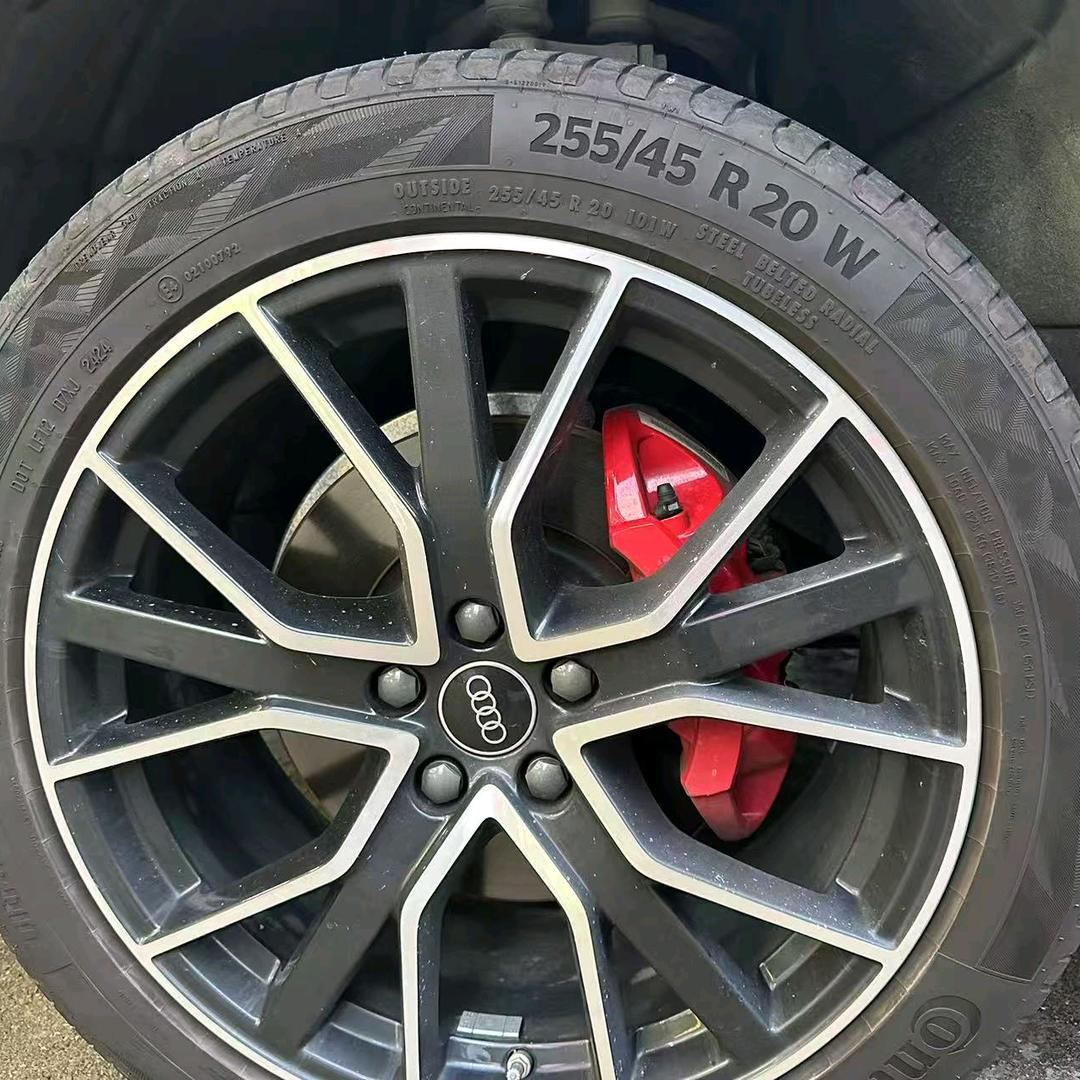 极光世界不会散人