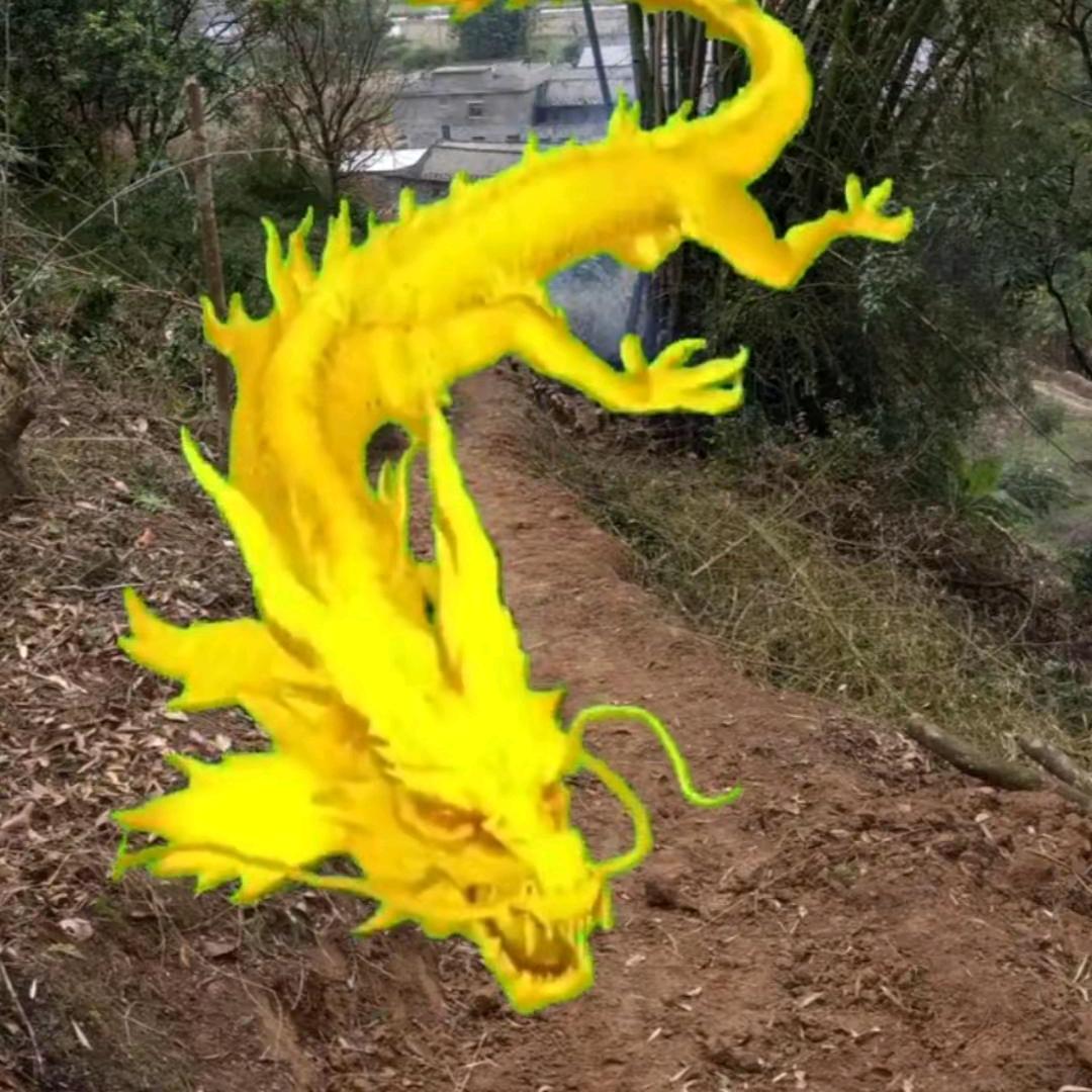 飞羊(👿)
