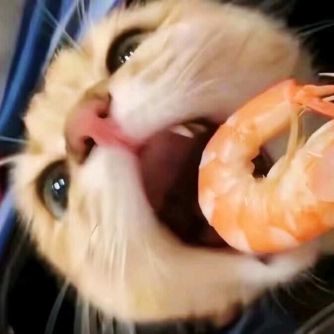 如至期