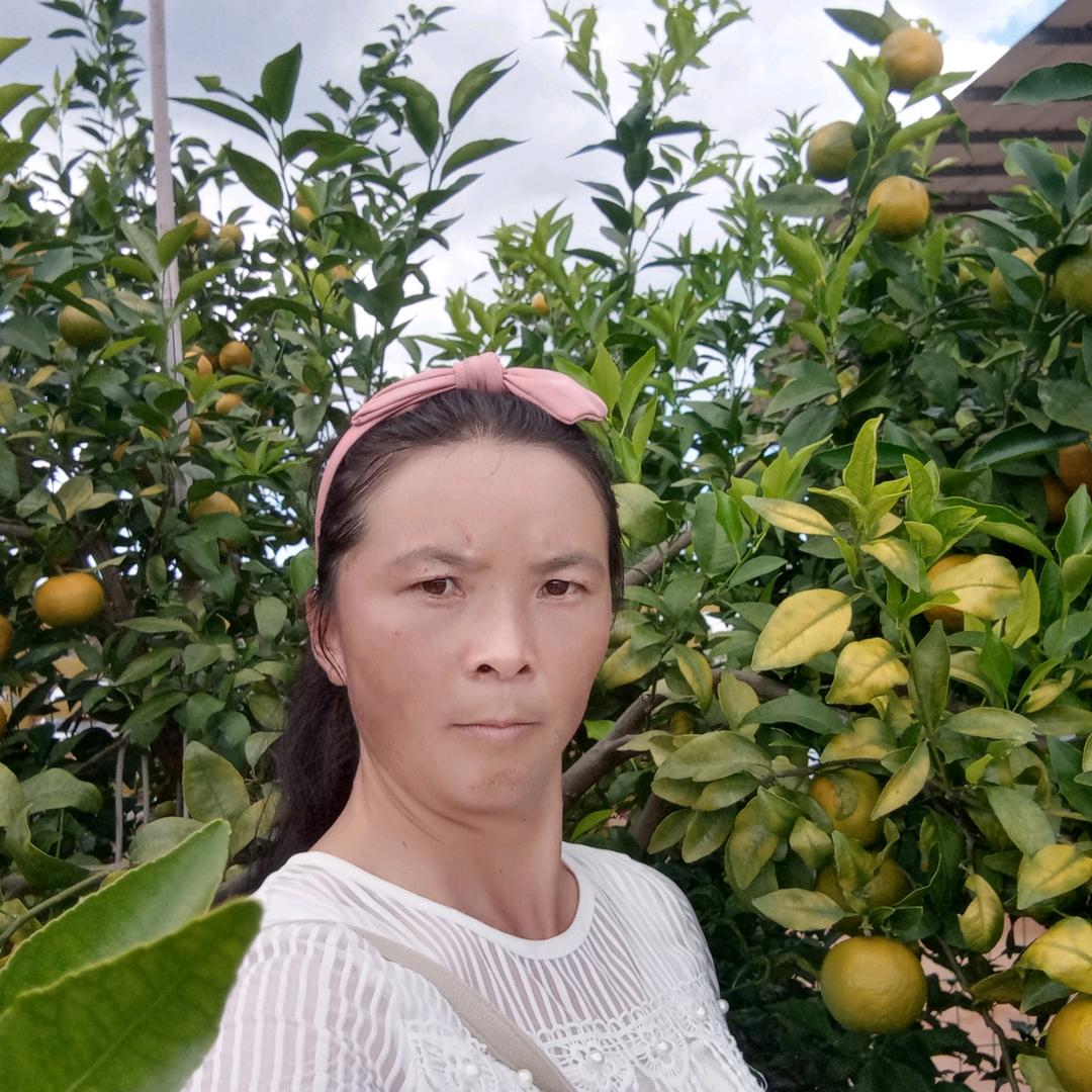 人生如梦
