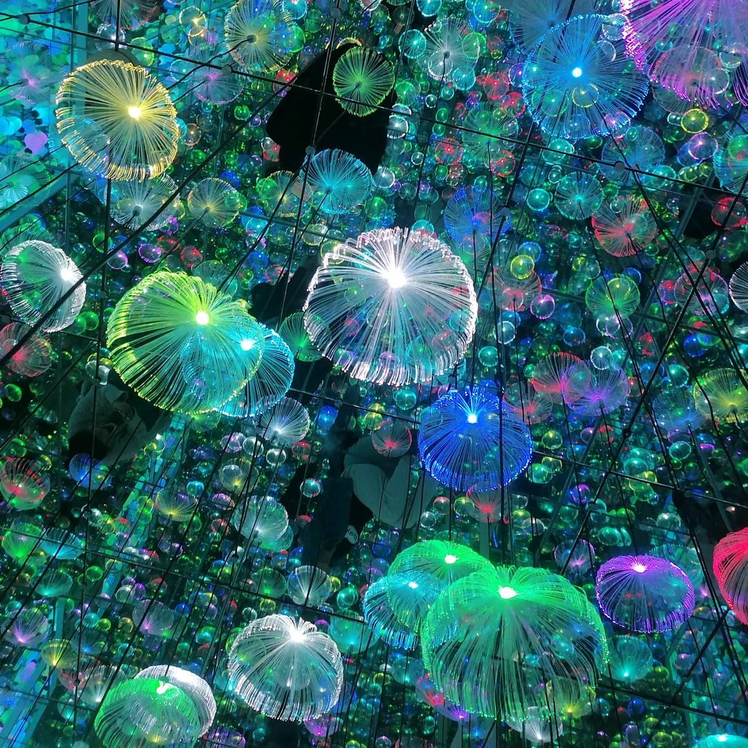 - ̗̀(๑ᵔ⌔ᵔ๑)怪怪