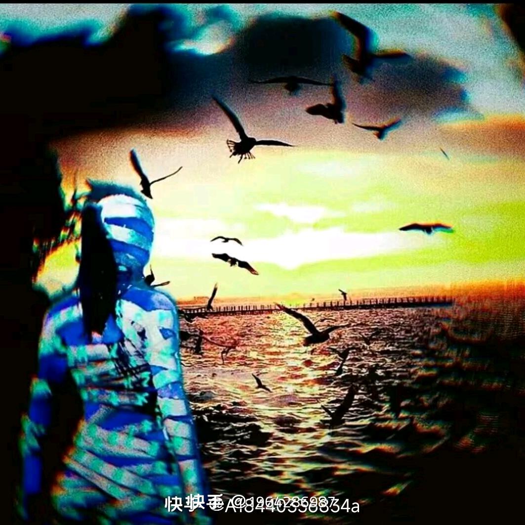 怕不鸡的3年回忆