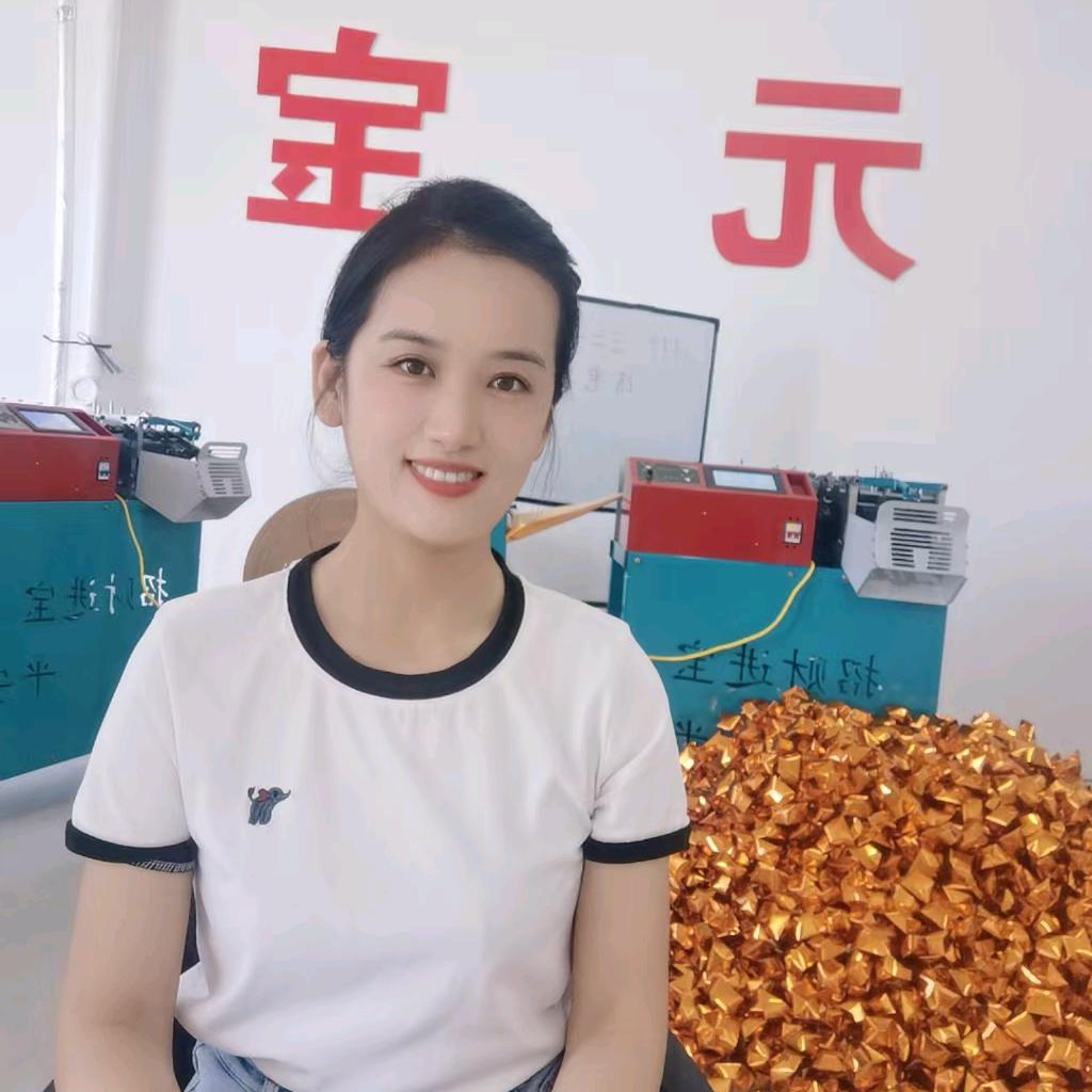 省会元宝机厂家