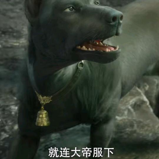 湘N第一深情