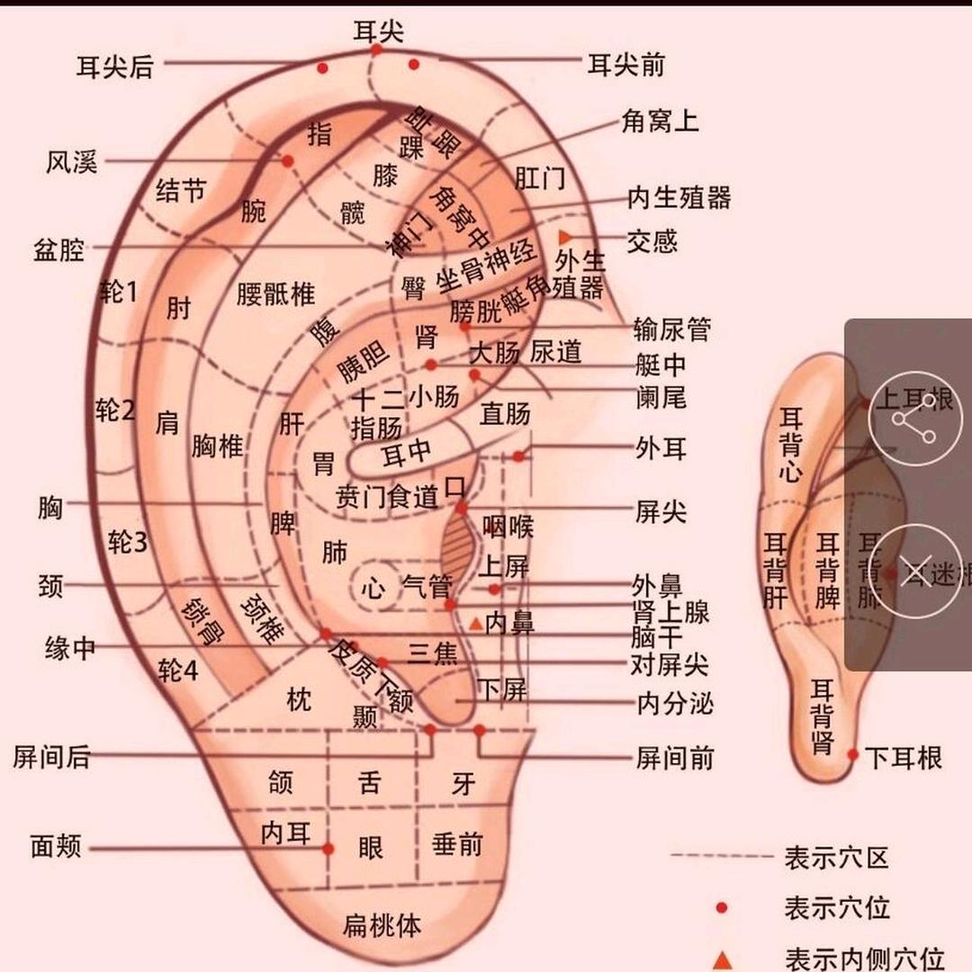 中医爱好者😇😇😇