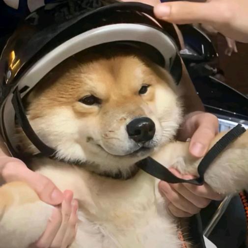 金色年华说