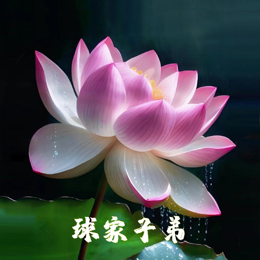 ֎𝙈𝙀𝙍𝘾𝙐𝙍𝙔 ⚽