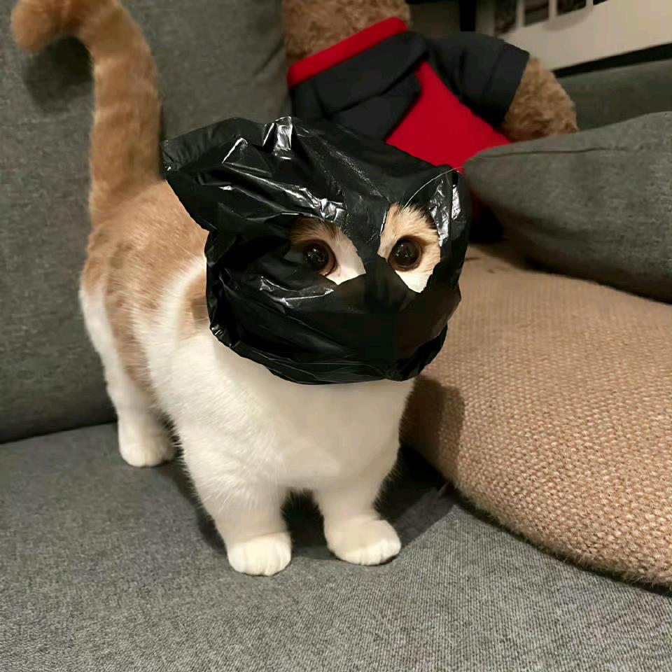 大泽