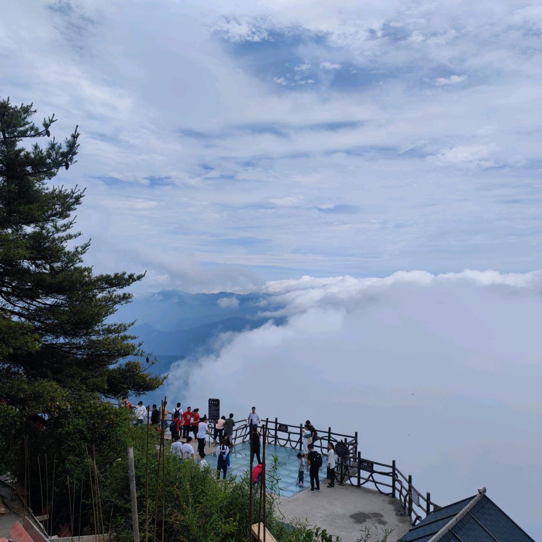 漯河新车精品二手车收售（闯）