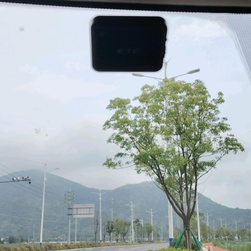 迷途知返