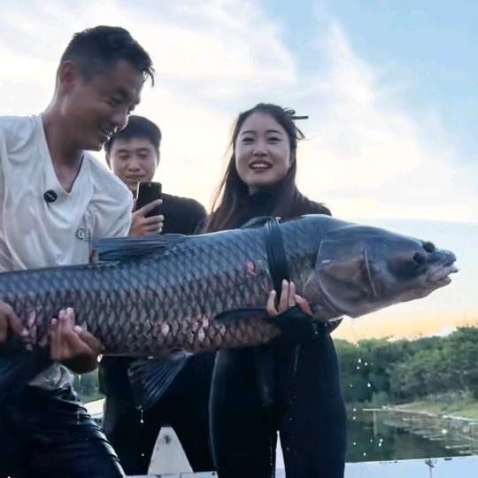 佳佳徒弟=空军一号