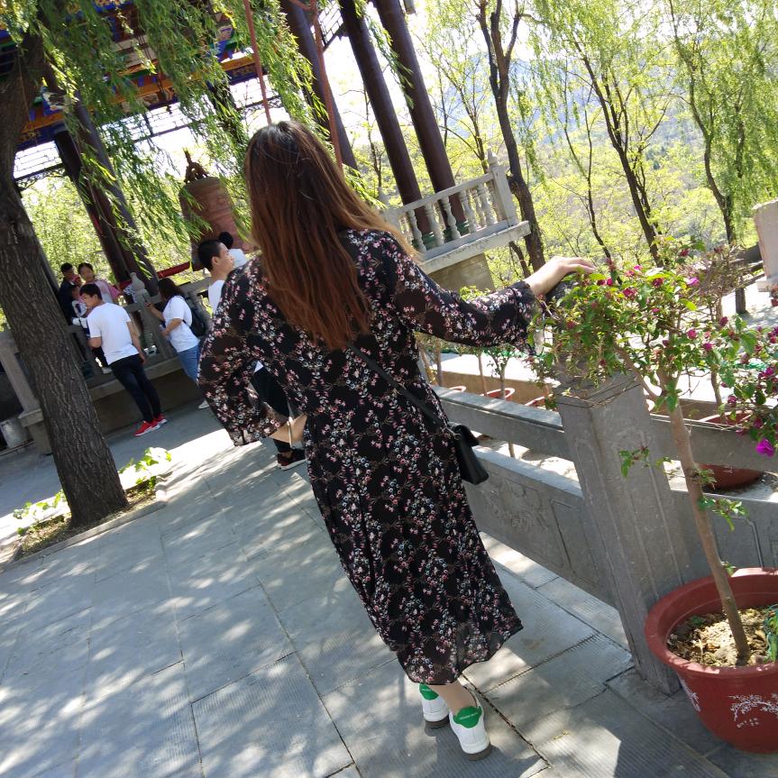 落在花上的土蝴蝶