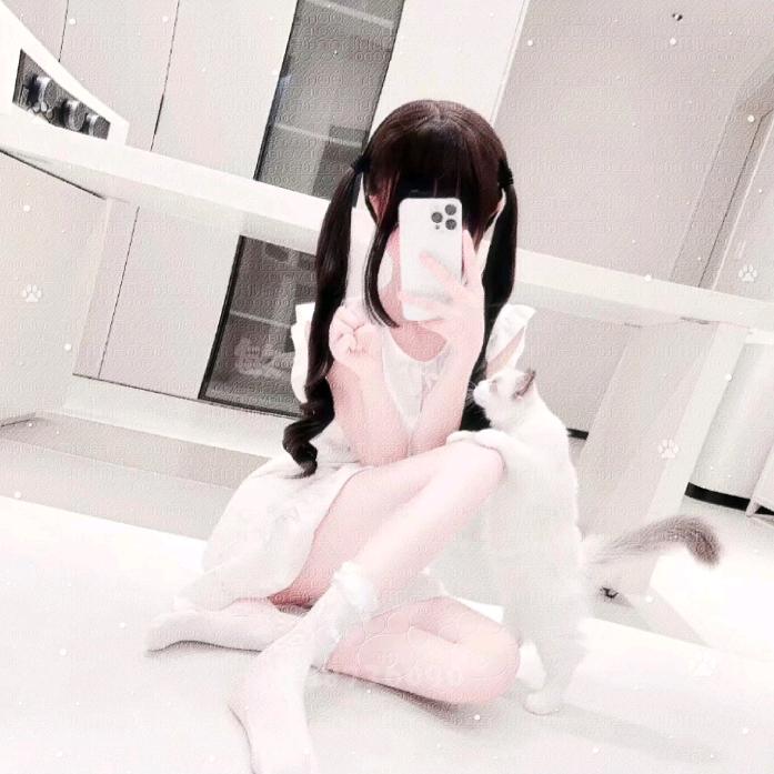 双子座