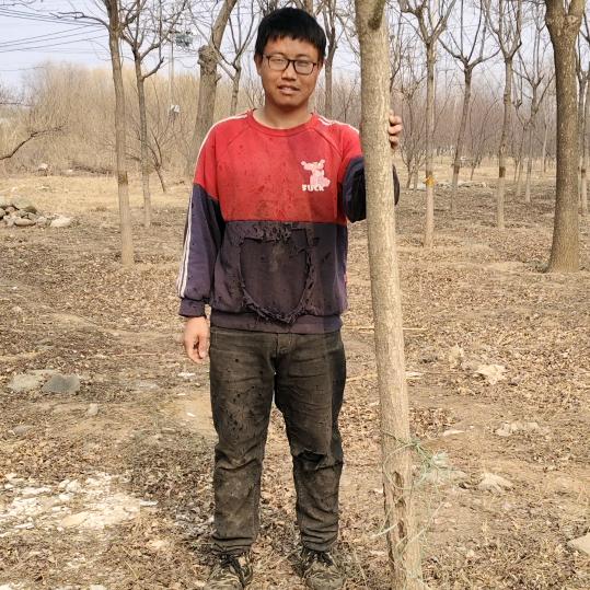 不锈钢终结者（磕头哥）