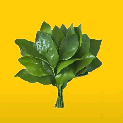 未央时尚