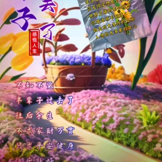奔跑的生存