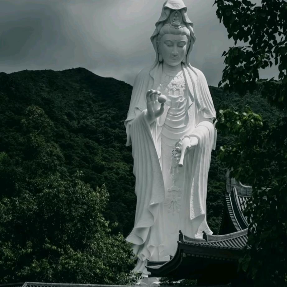 渡 心缘💕  悟道