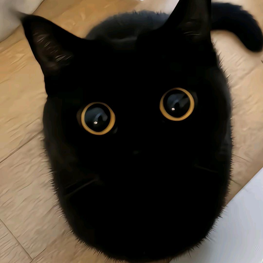七面
