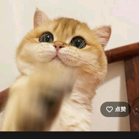 一杯🍷酒醉🍻