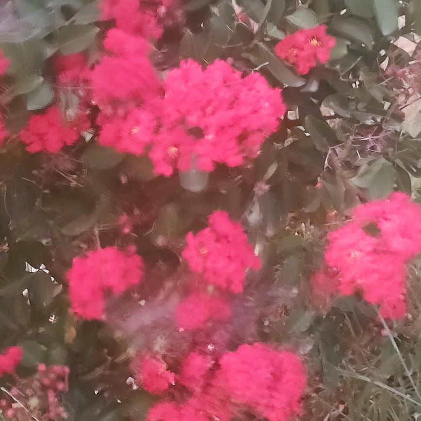 豆蒋油条