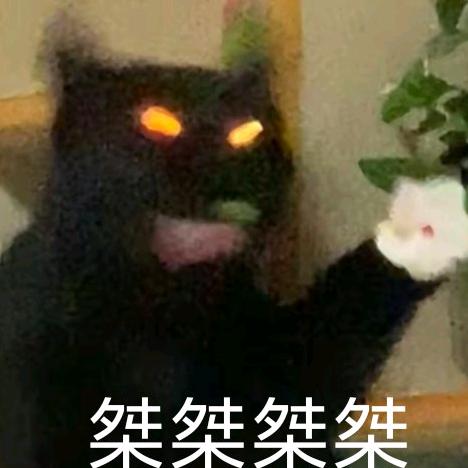 小荷才露煎煎饺