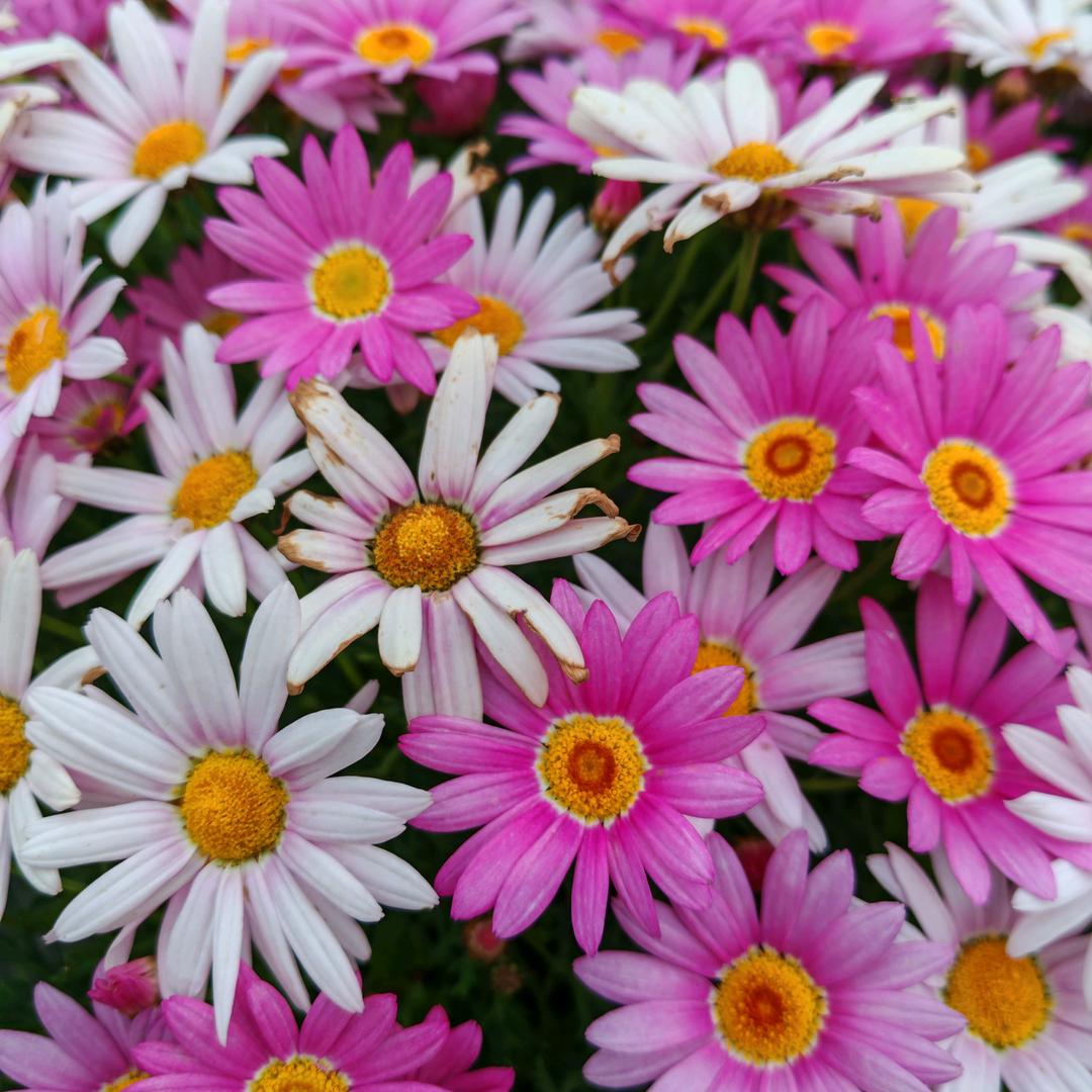 广西特色特产特选店