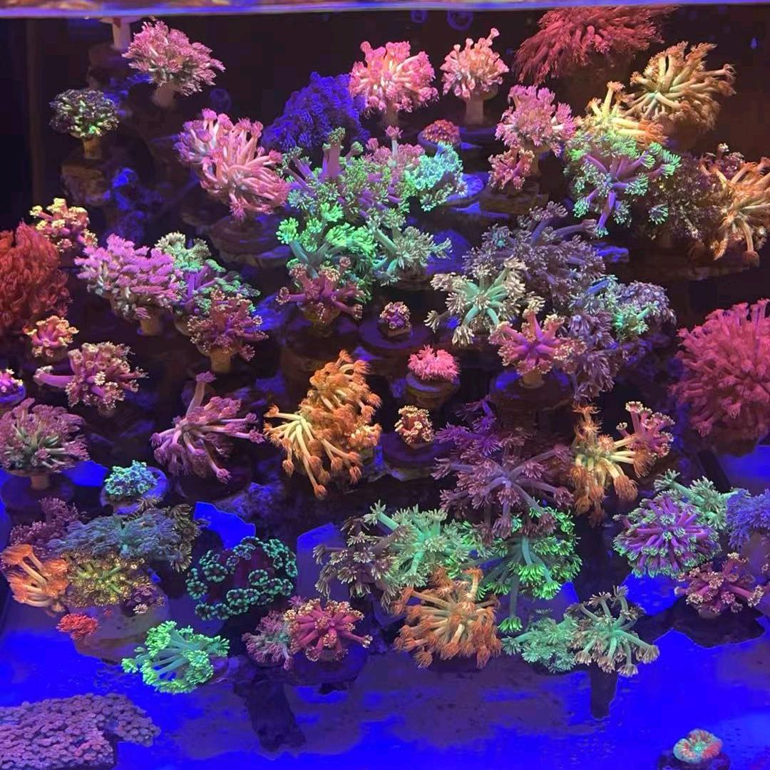 海博水族