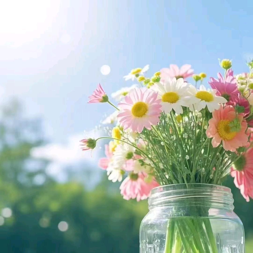安静！头像