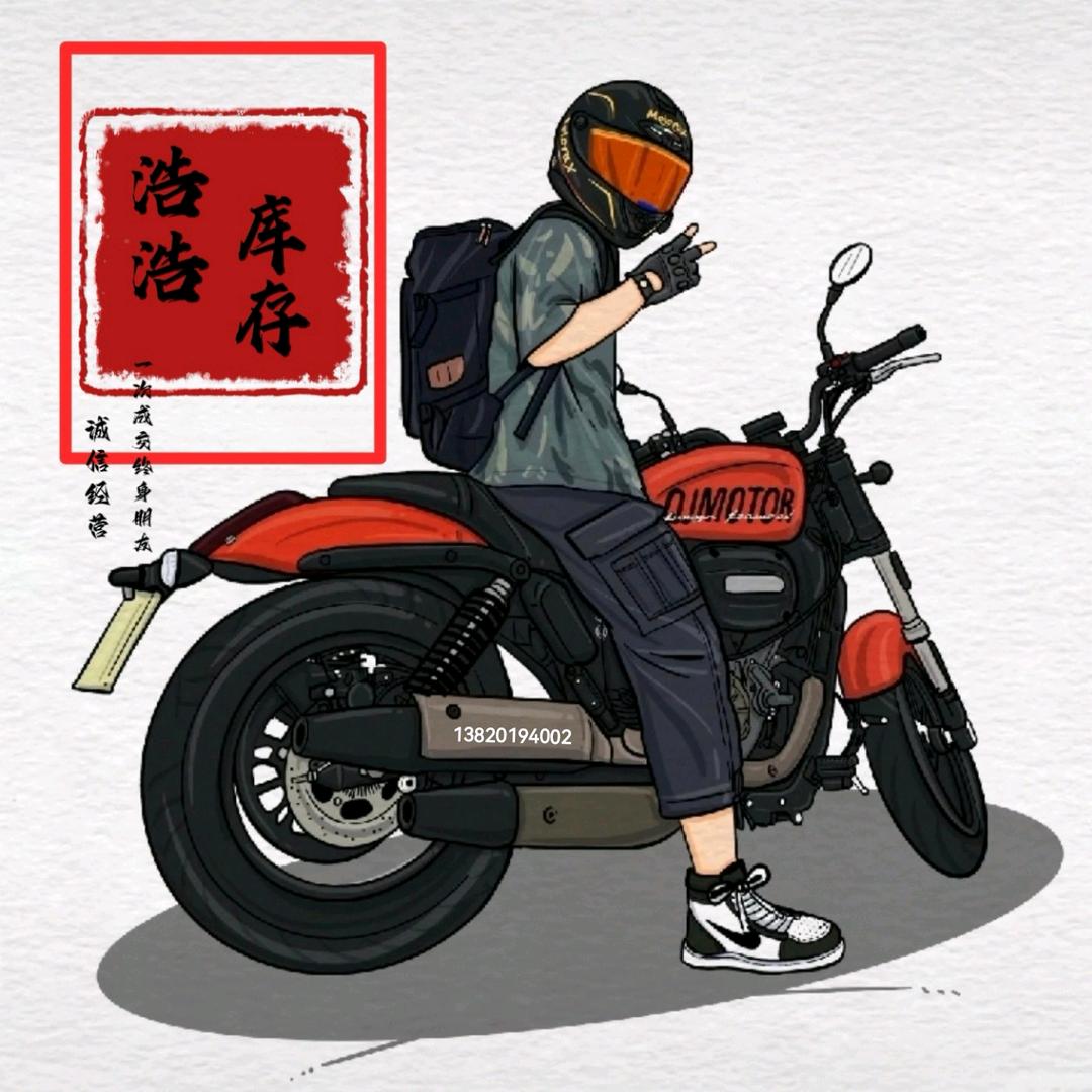 天津浩浩库存电动车