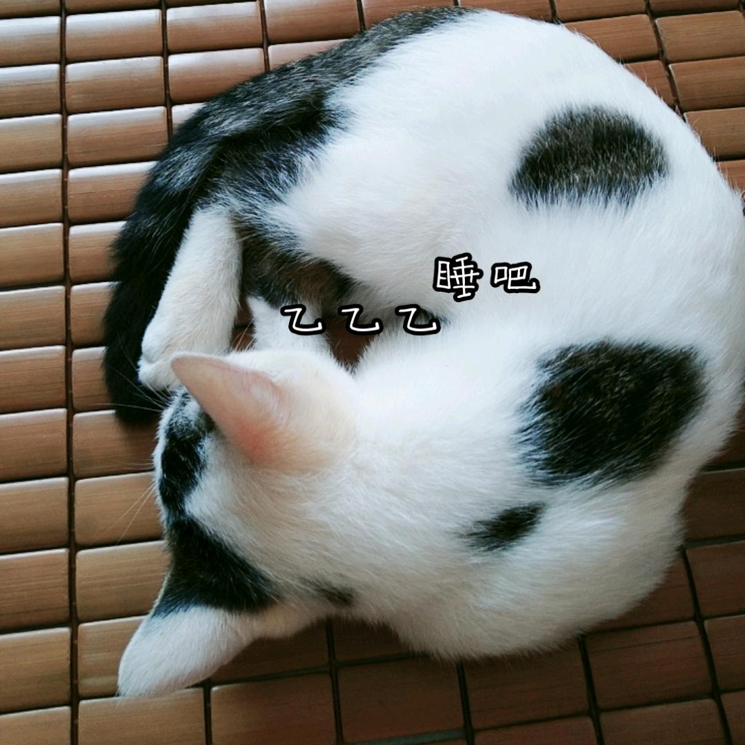 灵儿→拒绝私聊