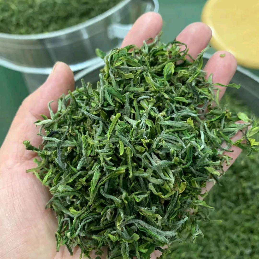 付婆日照绿茶合作社