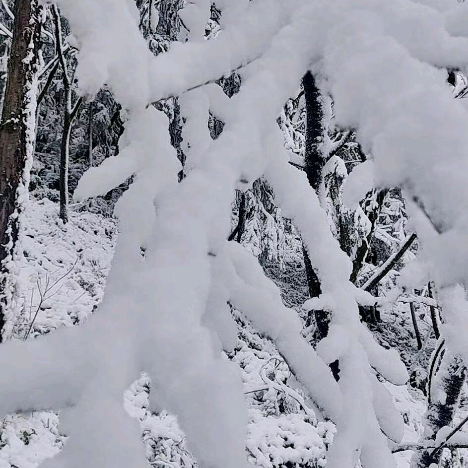 余生很长，感谢有你。