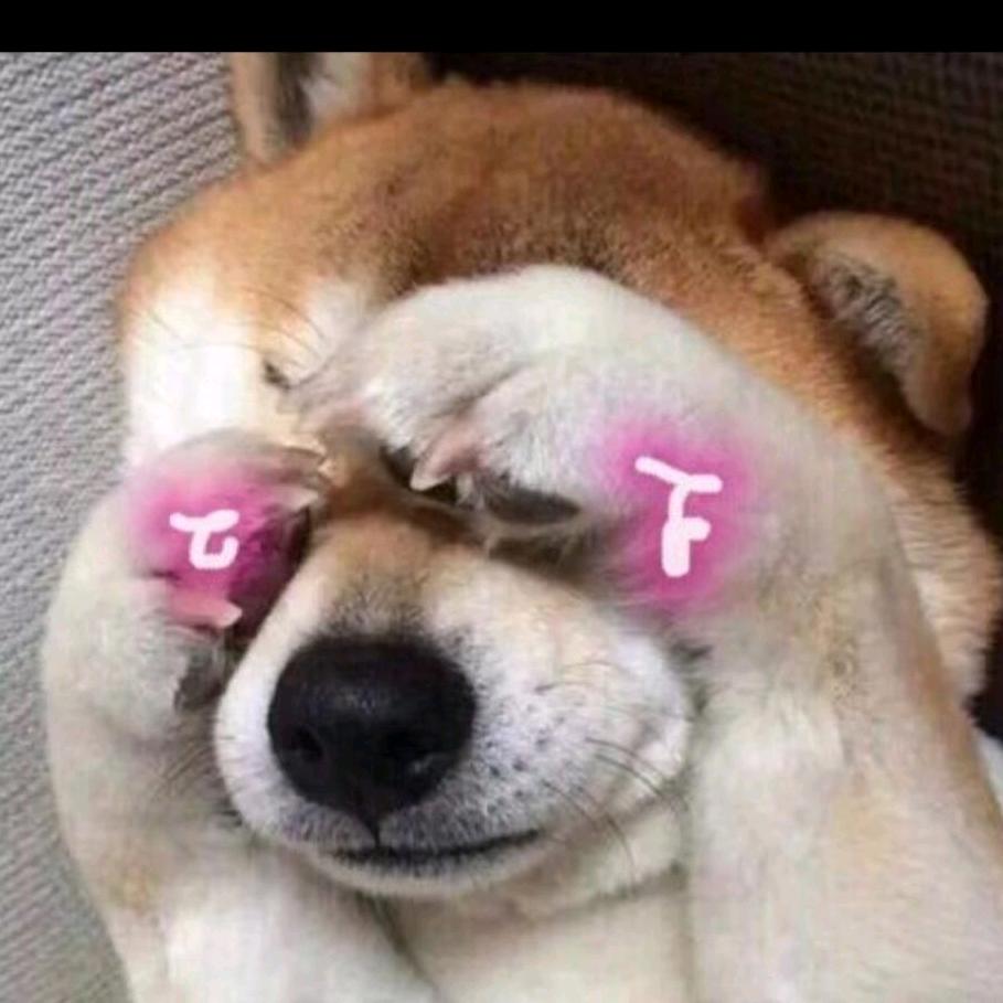 愿得一心人白首不相离