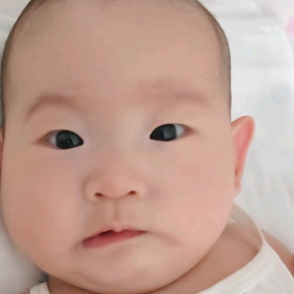 瑜宝的时光札记 🐍