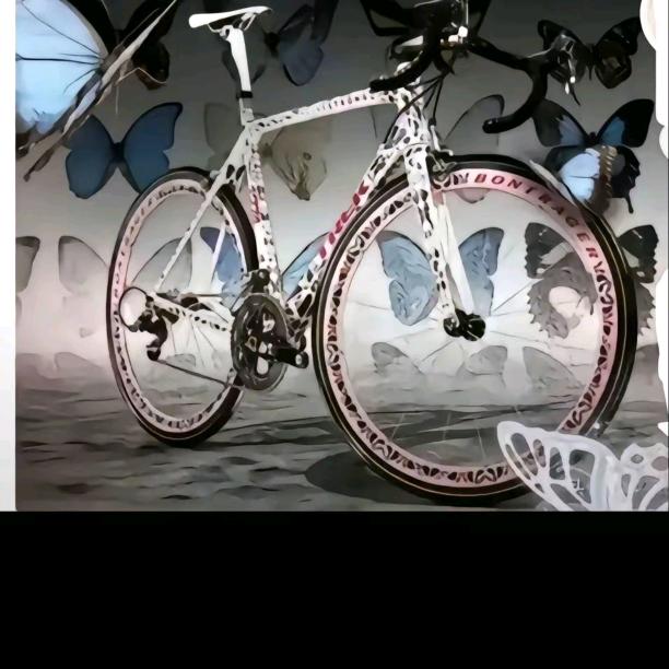 🚲崔克蝴蝶🚲