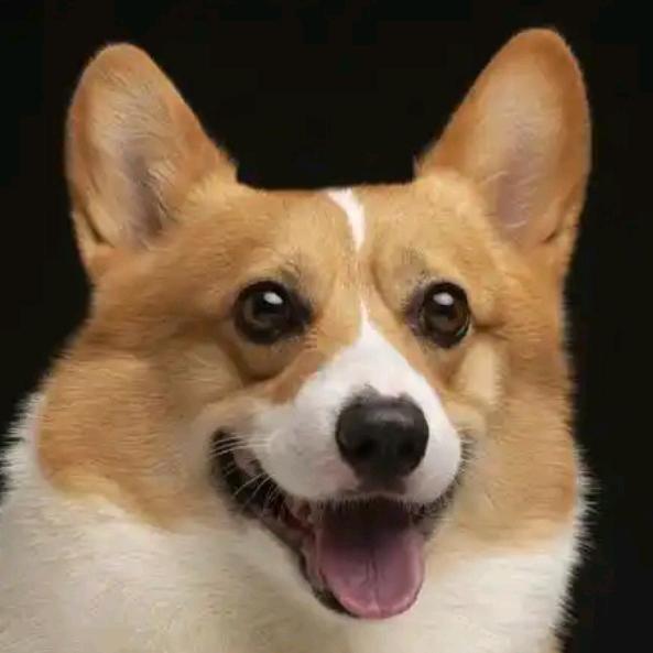 华宝