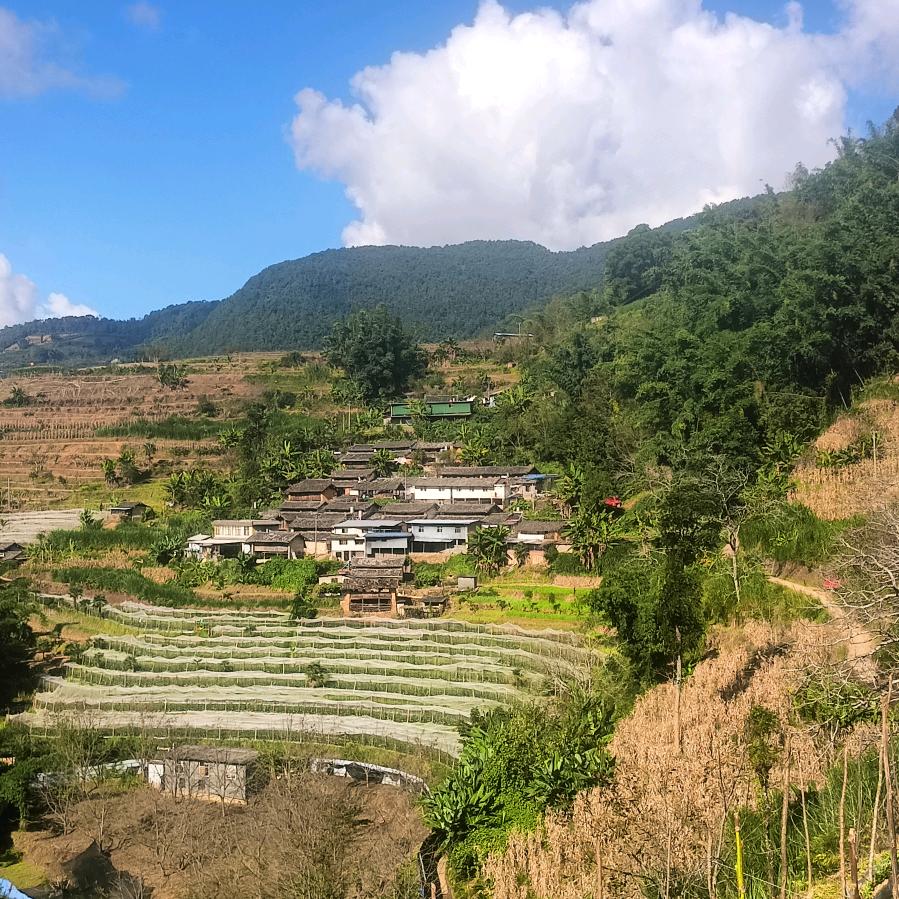 刘晓峰