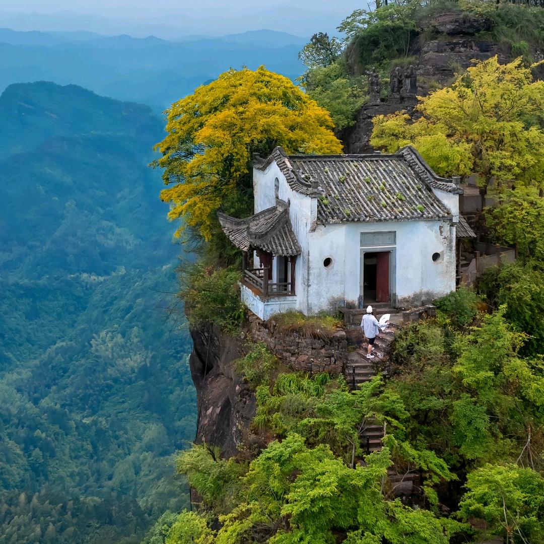 黄山张哥聊健康