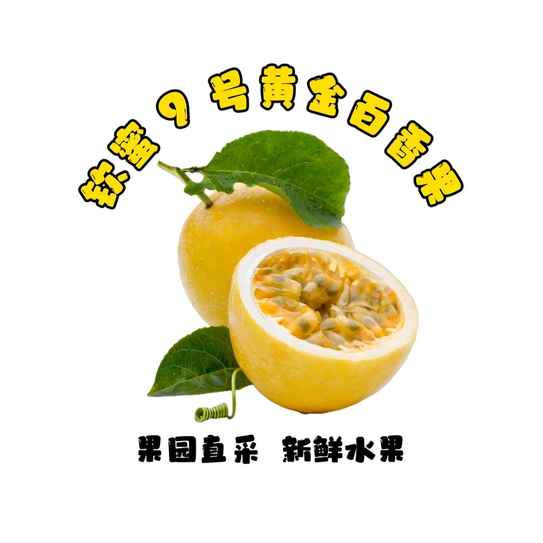 钦蜜9号黄金百香果源头果园