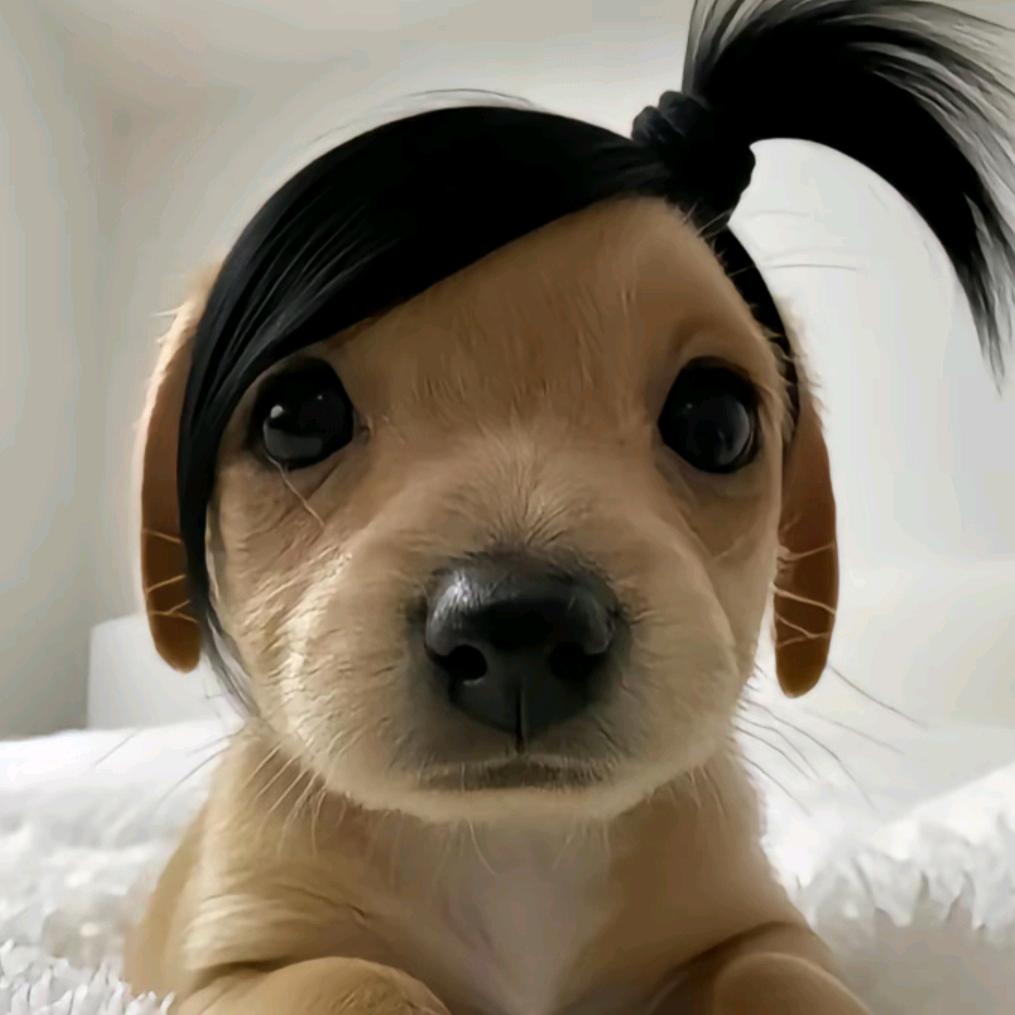 苏菲亚小公主