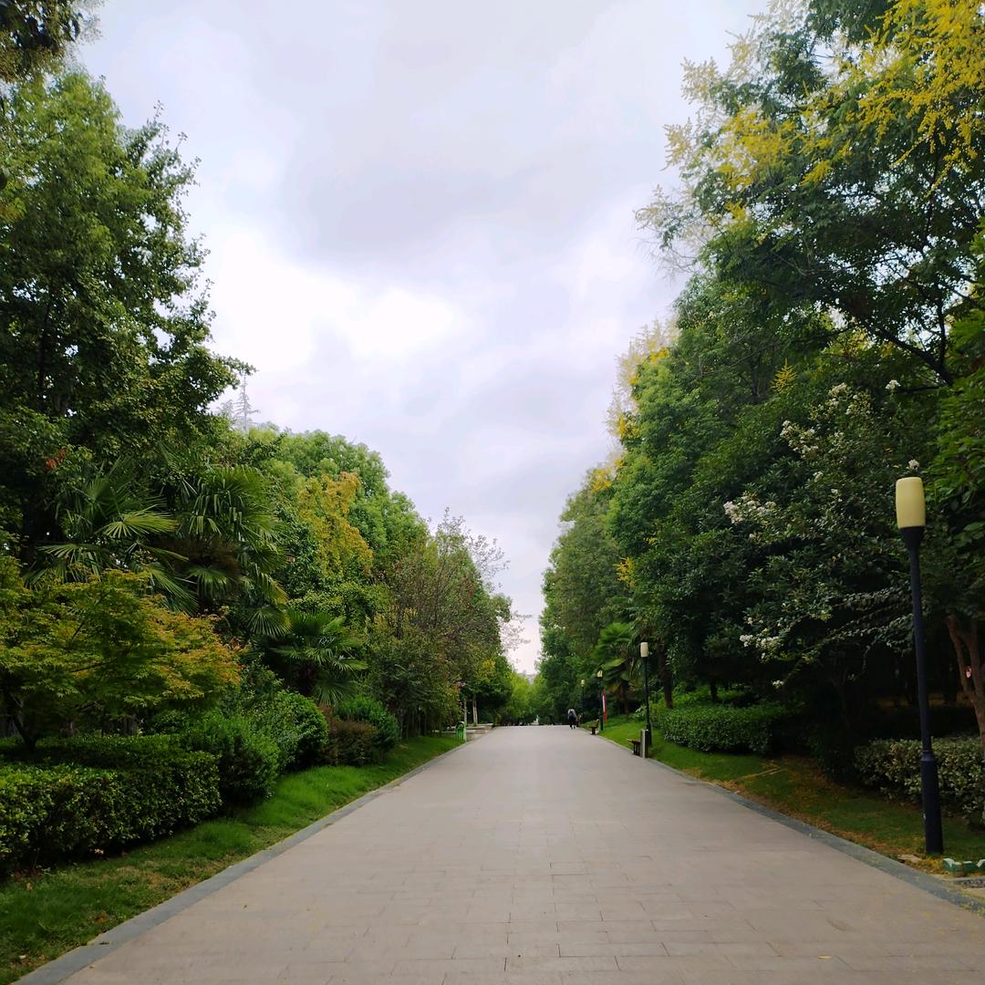 ༊幸运༉F༬薇༣❦