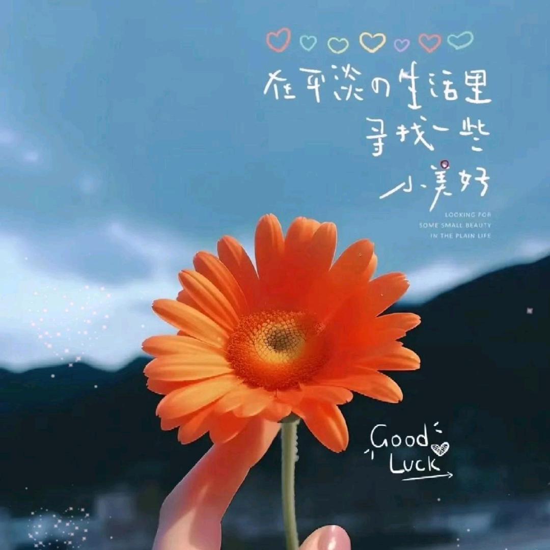 好运连连