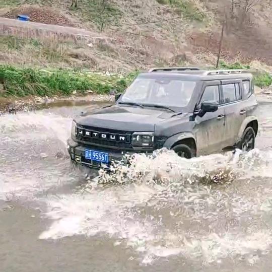 小马的旅行者