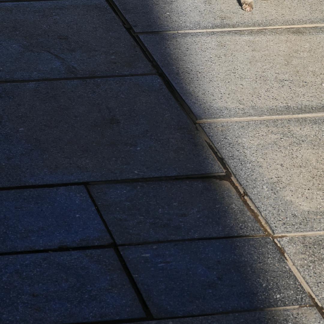 蒲公英遇咪记的头像