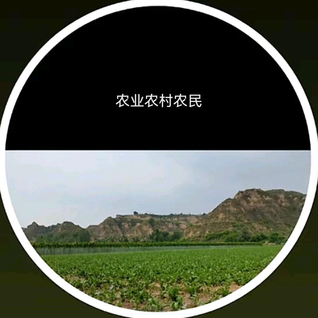 寧静致远