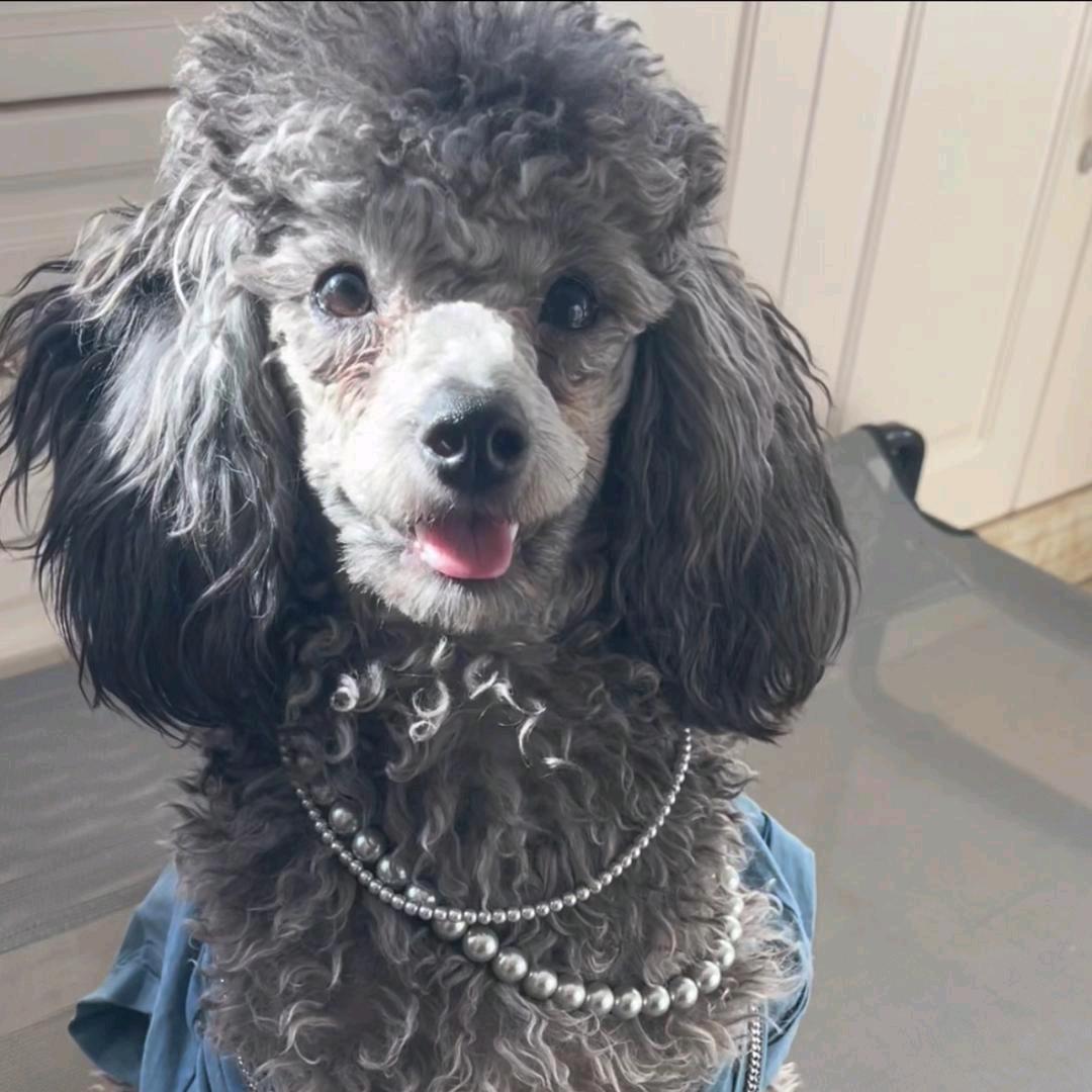 点点妈妈爱分享