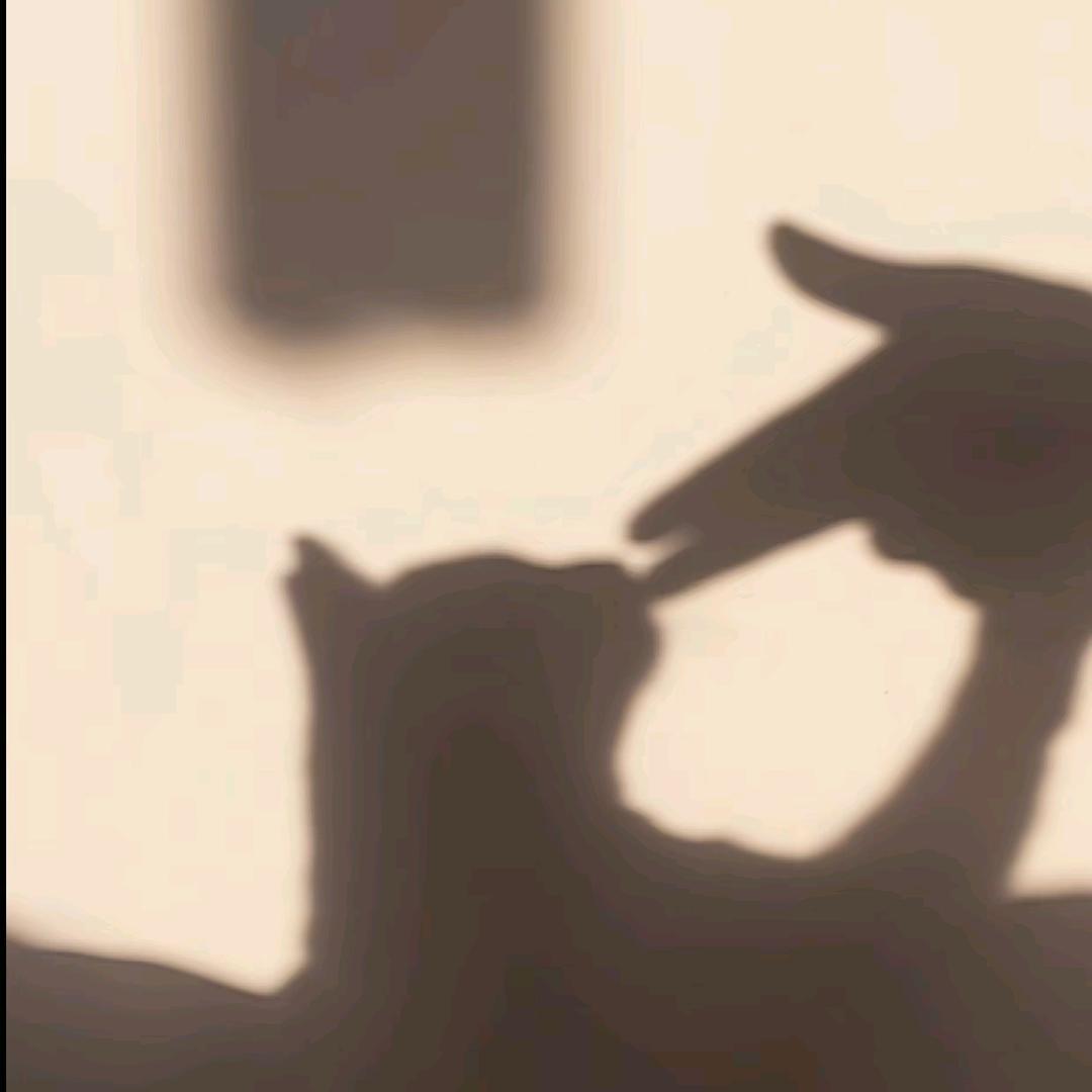 Haa